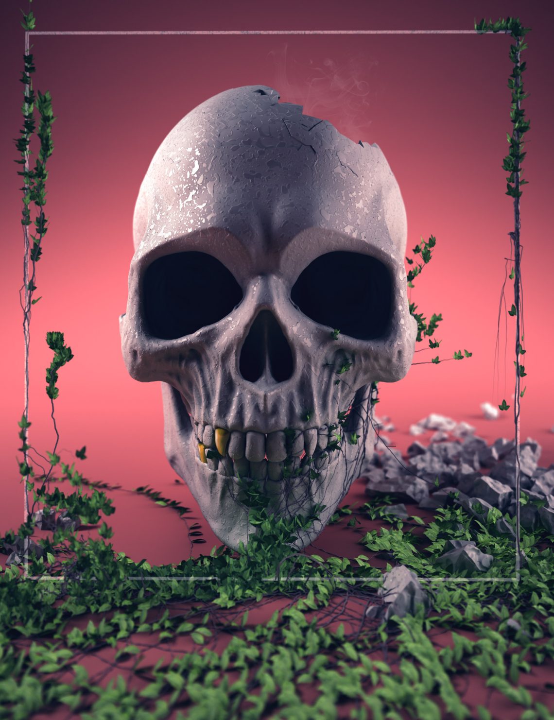 skull-web-01
